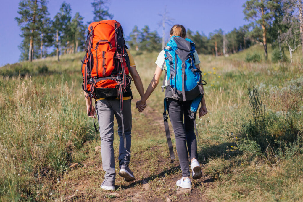 travel back pack