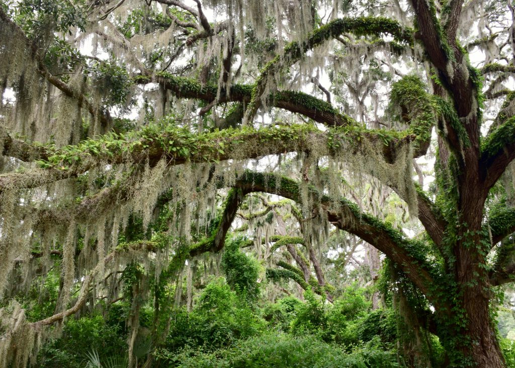 Hilton Head Island